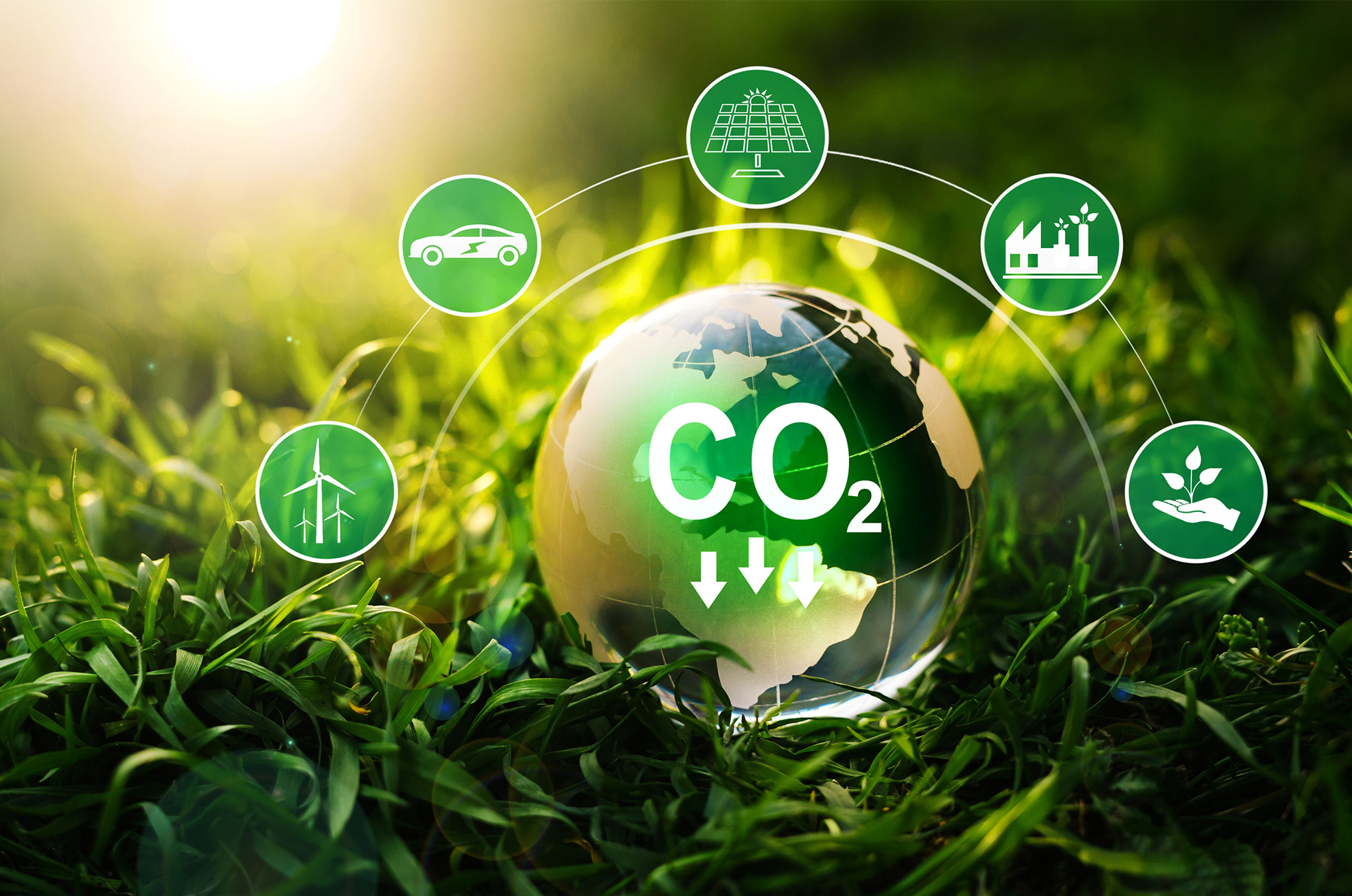 The goal of reaching carbon neutrality - Aplantex